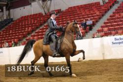 18BUCK_01665 proof