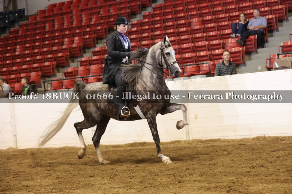 Proof 18BUCK_01666