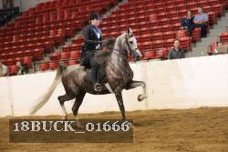 18BUCK_01666 proof