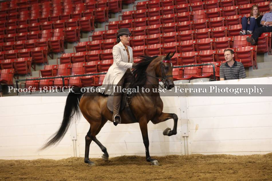 Proof 18BUCK_01667