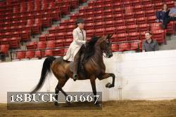 18BUCK_01667 proof