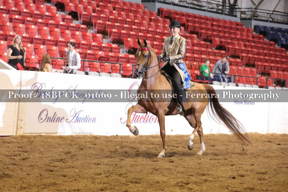 Proof 18BUCK_01669