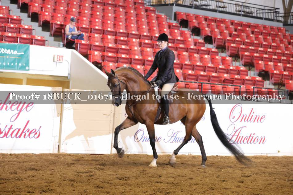Proof 18BUCK_01671
