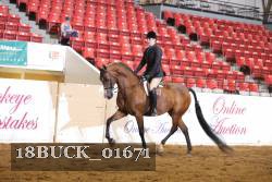 18BUCK_01671 proof