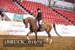 18BUCK_01672 proof