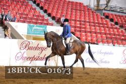 18BUCK_01673 proof