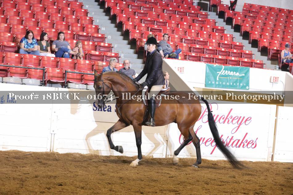 Proof 18BUCK_01674
