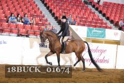 18BUCK_01674 proof