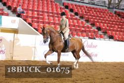 18BUCK_01675 proof