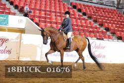 18BUCK_01676 proof