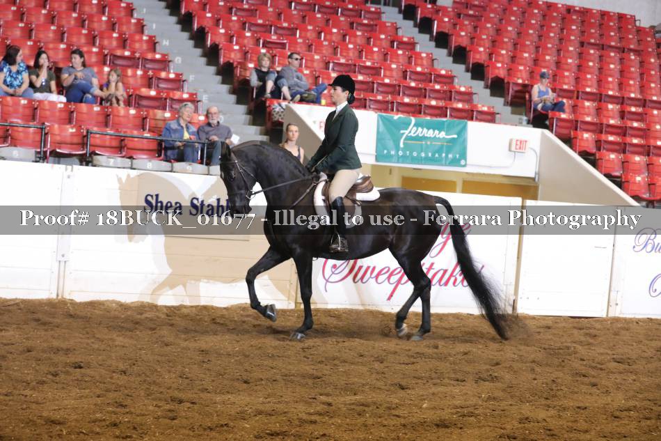 Proof 18BUCK_01677