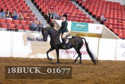 18BUCK_01677 proof