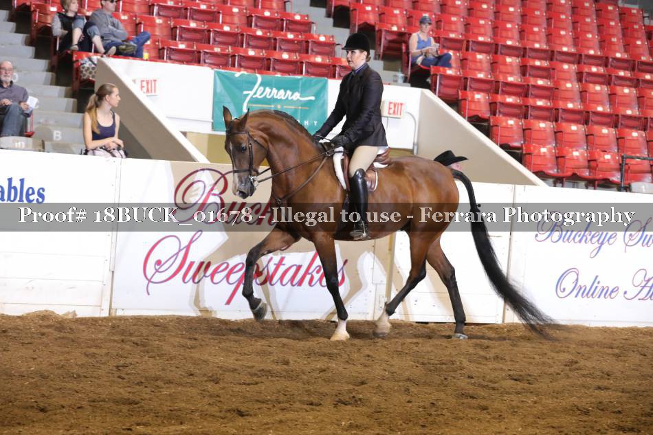 Proof 18BUCK_01678