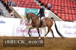 18BUCK_01678 proof