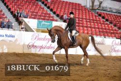 18BUCK_01679 proof