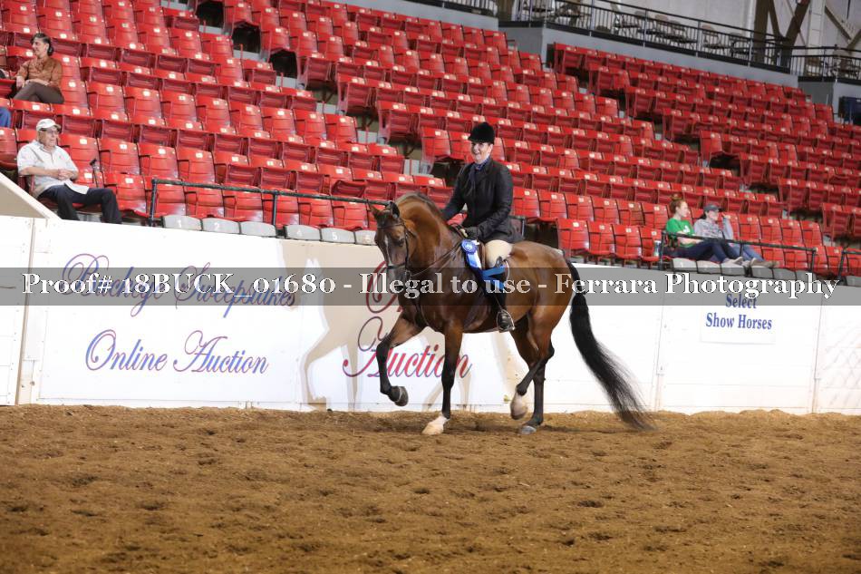 Proof 18BUCK_01680
