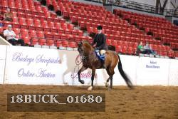 18BUCK_01680 proof