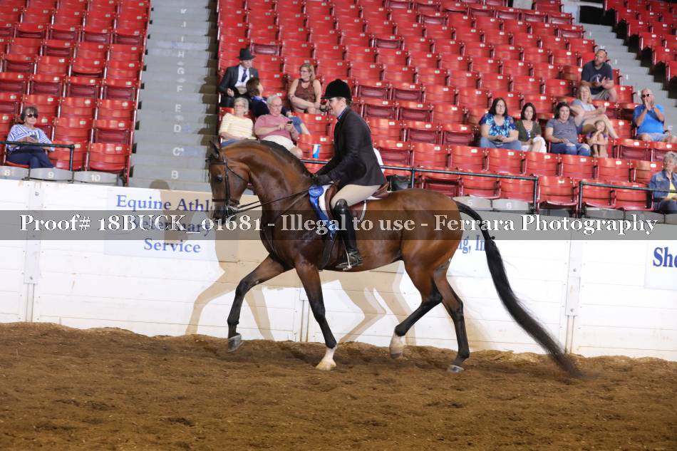 Proof 18BUCK_01681