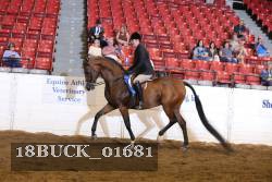 18BUCK_01681 proof