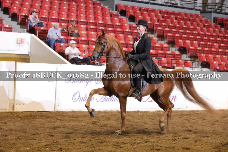 Proof 18BUCK_01682