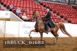 18BUCK_01682 proof