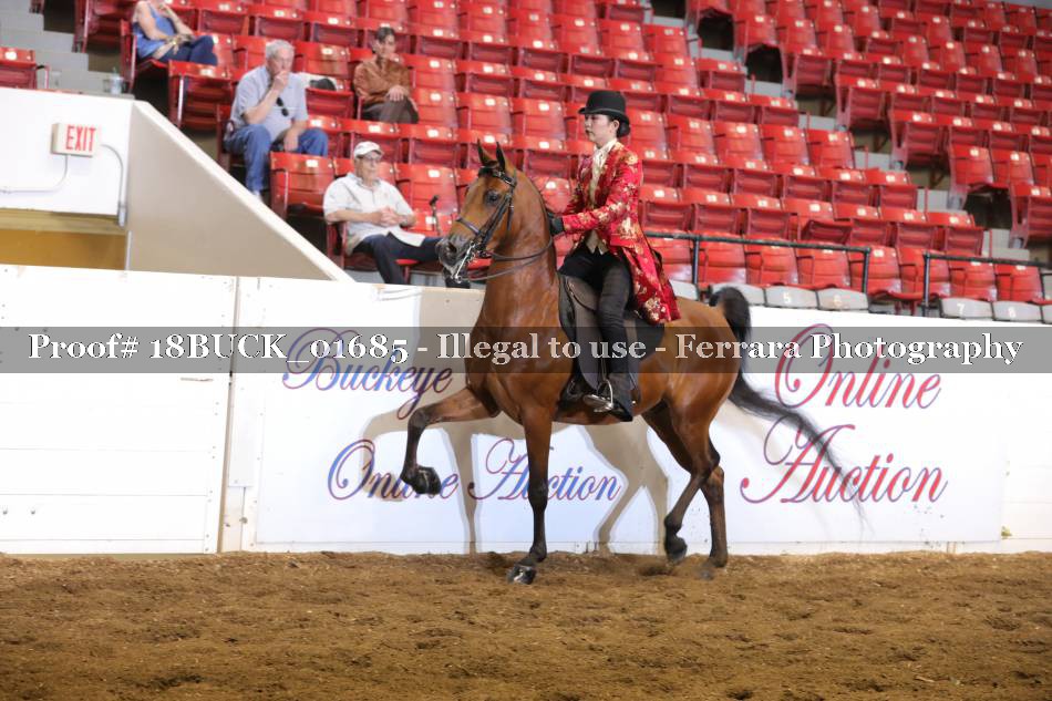 Proof 18BUCK_01685