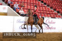 18BUCK_01685 proof