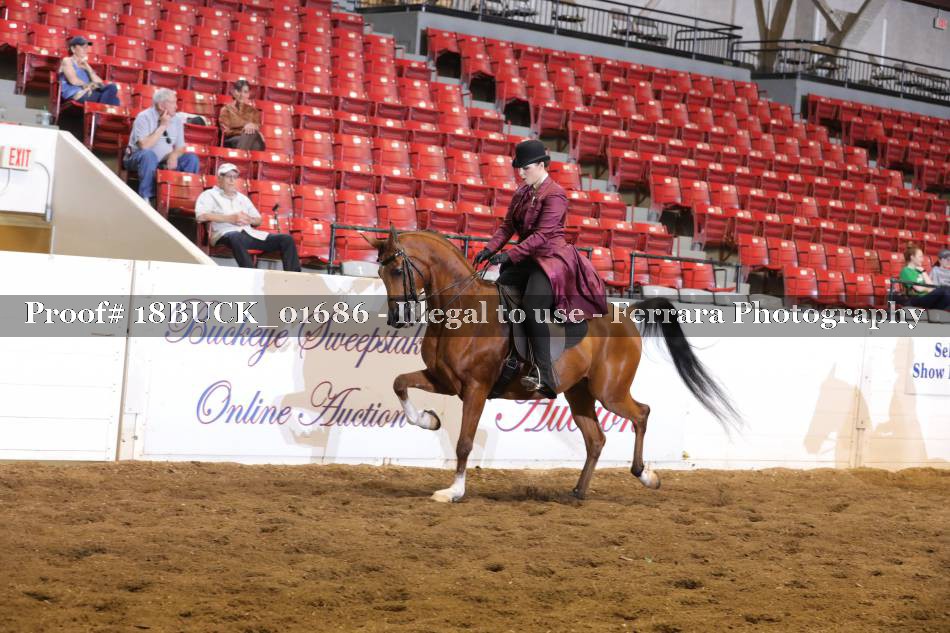 Proof 18BUCK_01686