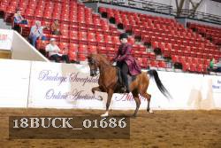 18BUCK_01686 proof