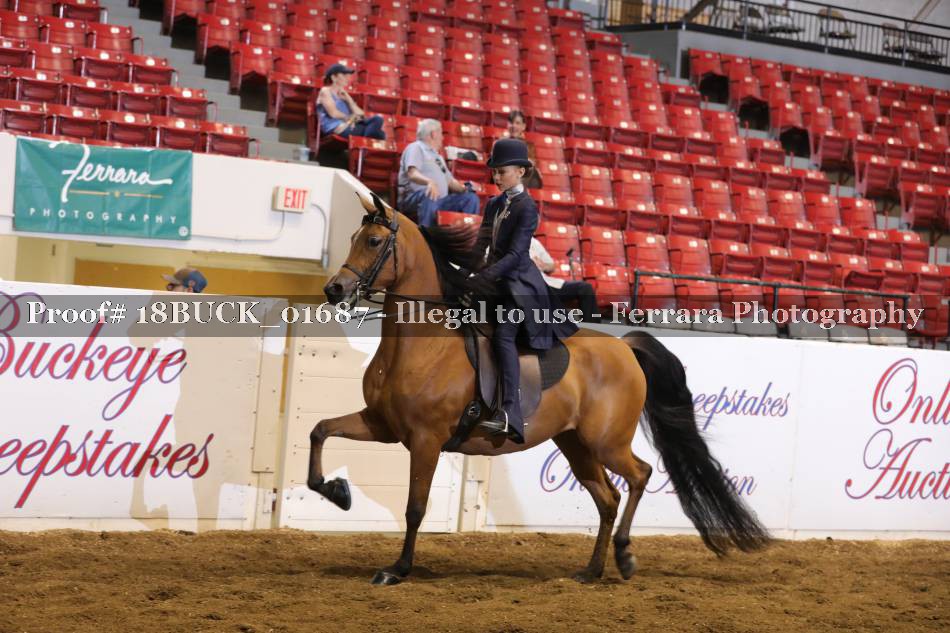 Proof 18BUCK_01687