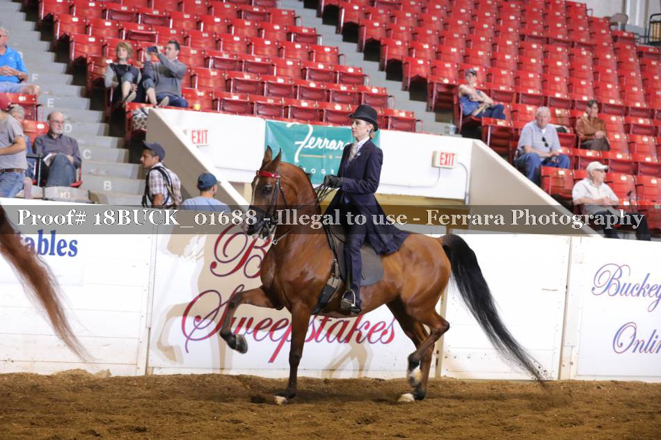 Proof 18BUCK_01688