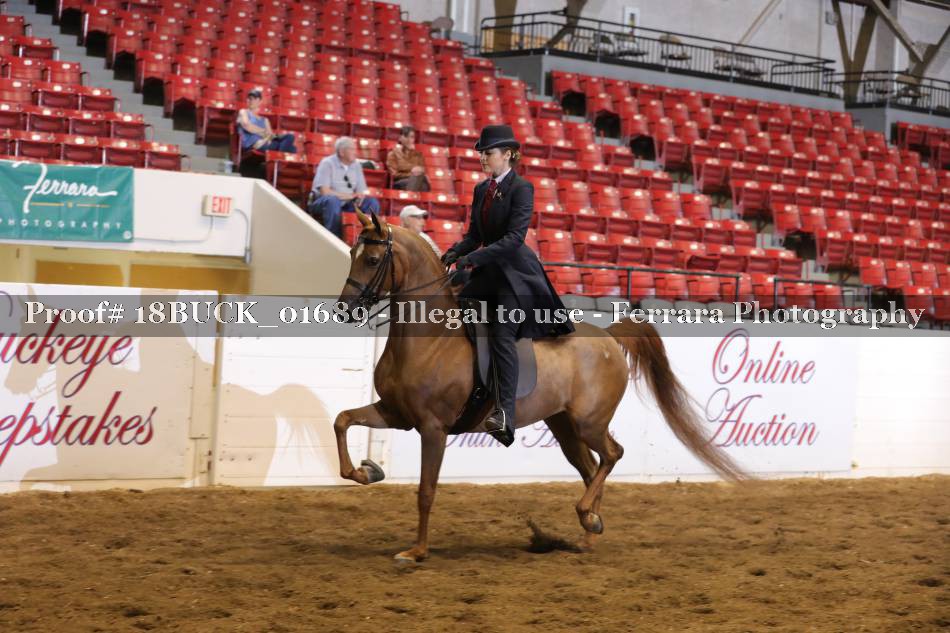 Proof 18BUCK_01689