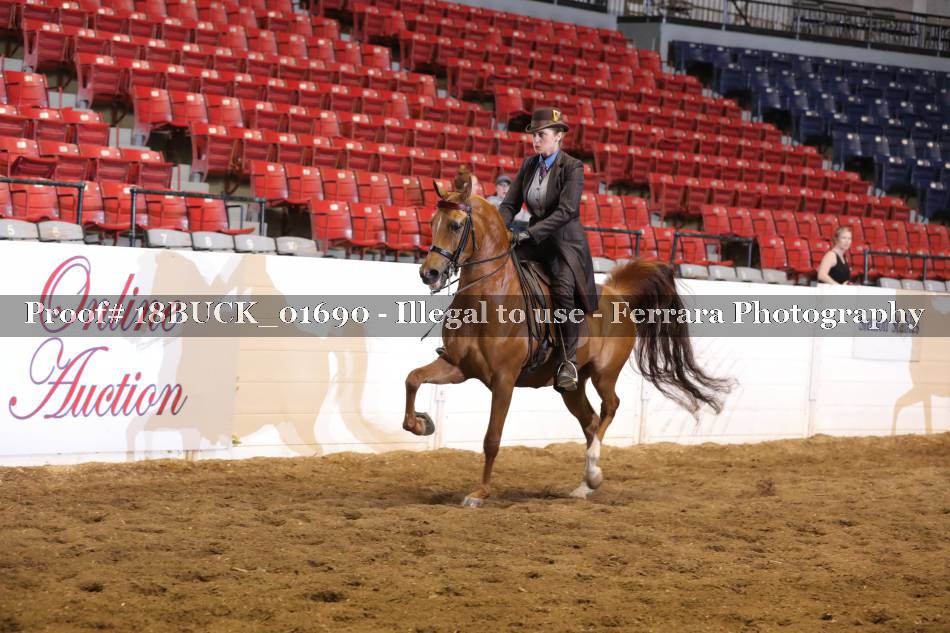 Proof 18BUCK_01690