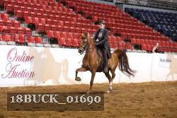 18BUCK_01690 proof