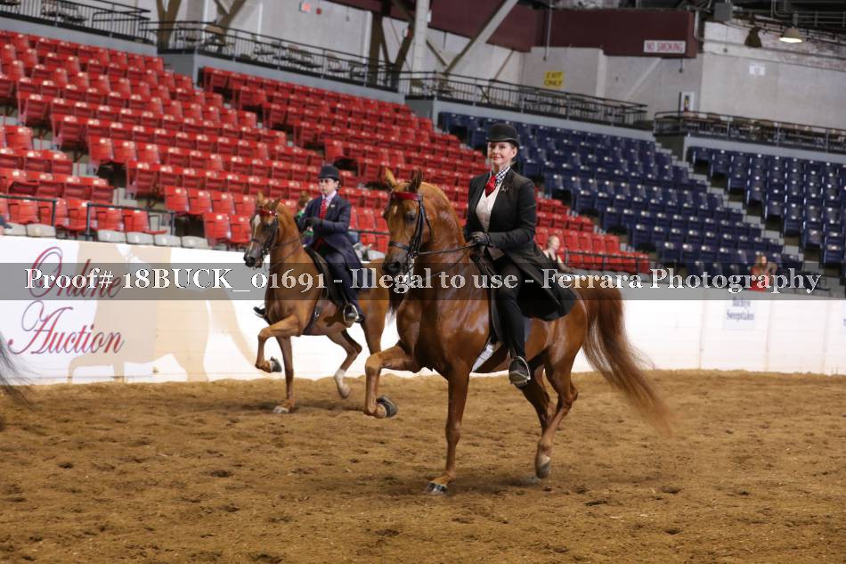 Proof 18BUCK_01691
