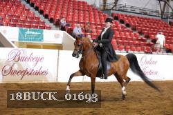 18BUCK_01693 proof
