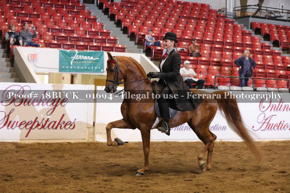Proof 18BUCK_01694