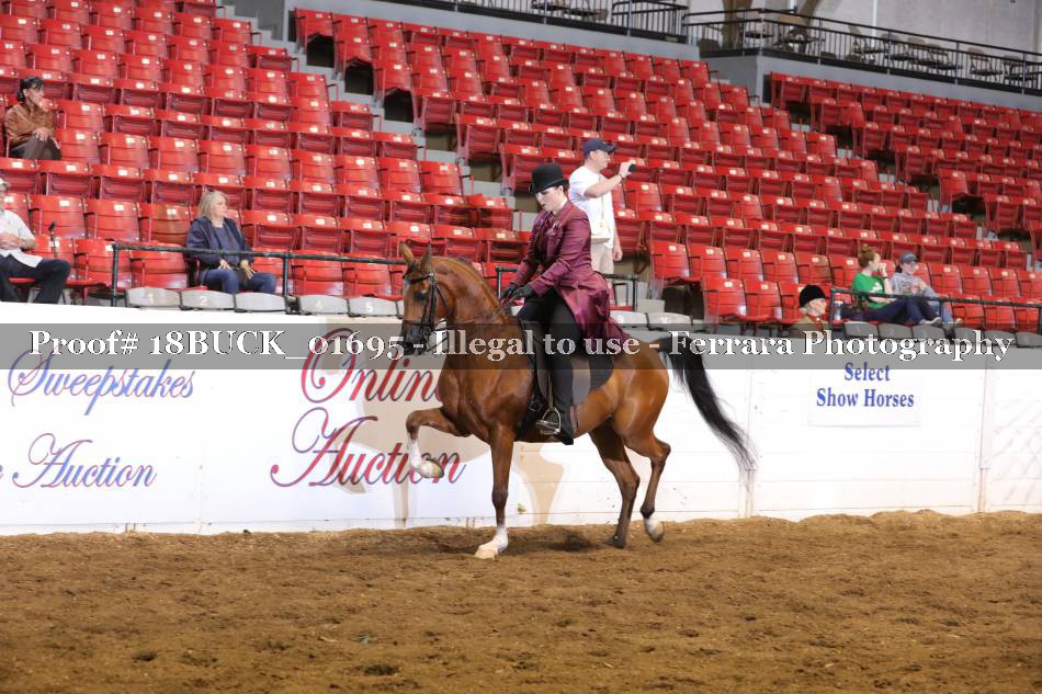 Proof 18BUCK_01695