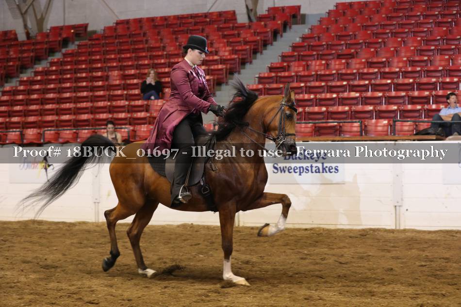 Proof 18BUCK_01697