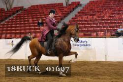 18BUCK_01697 proof