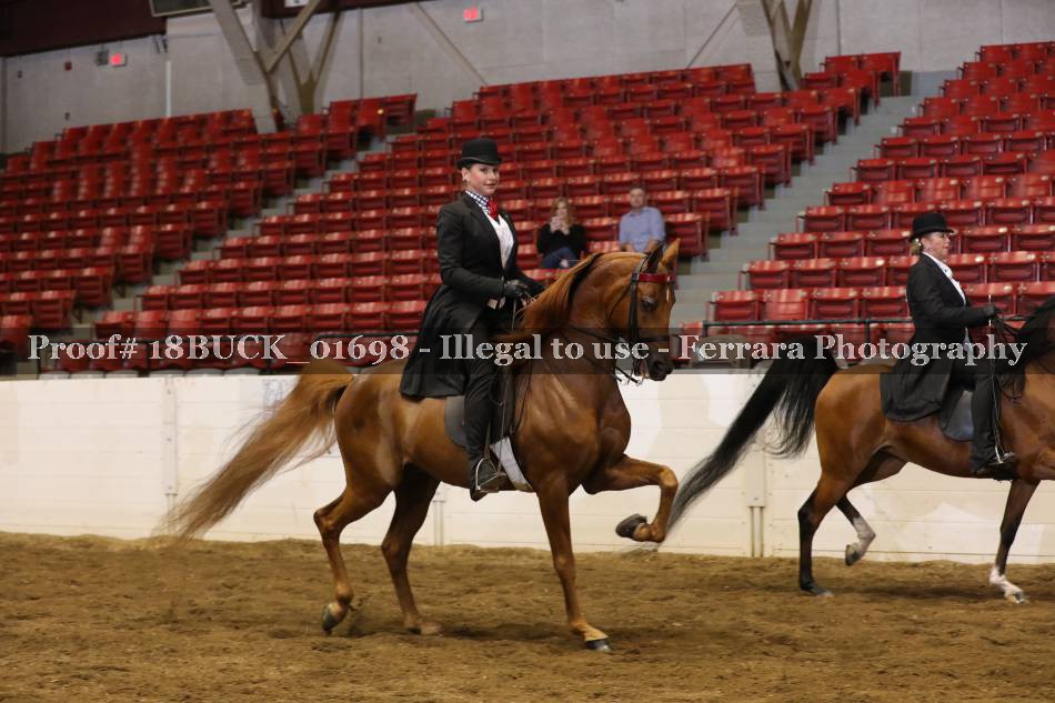 Proof 18BUCK_01698
