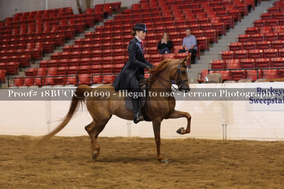 Proof 18BUCK_01699