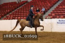 18BUCK_01699 proof
