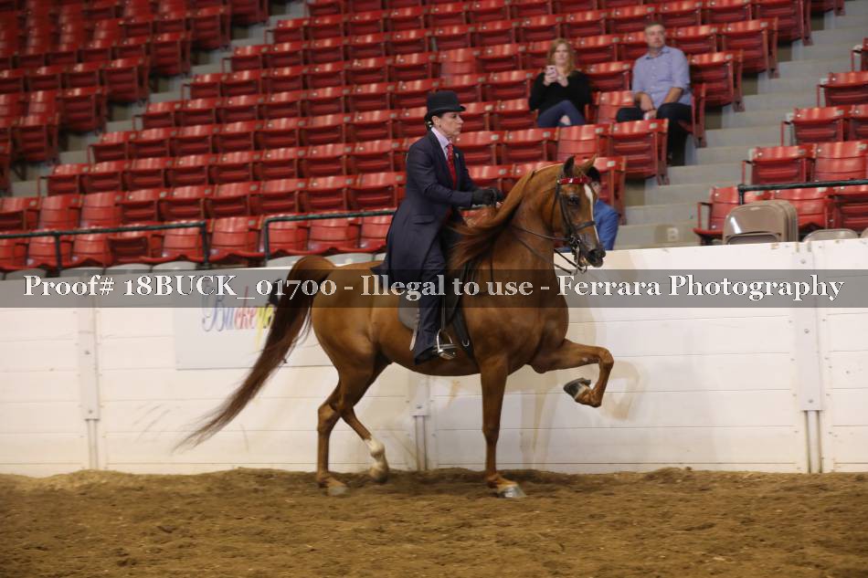Proof 18BUCK_01700