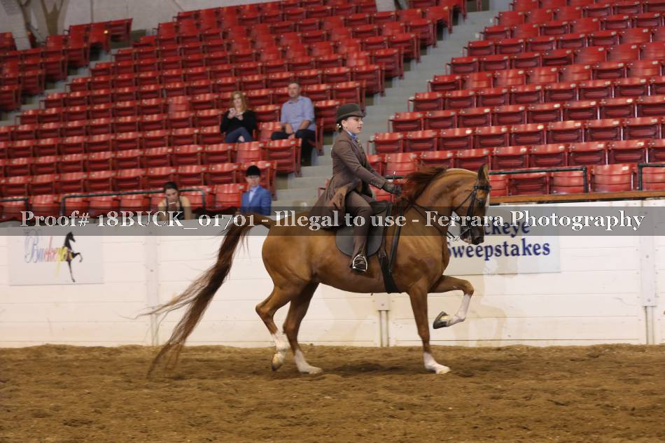 Proof 18BUCK_01701