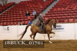 18BUCK_01701 proof