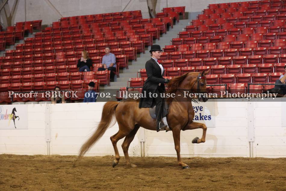 Proof 18BUCK_01702