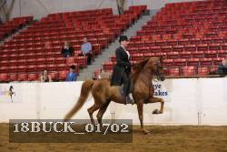 18BUCK_01702 proof