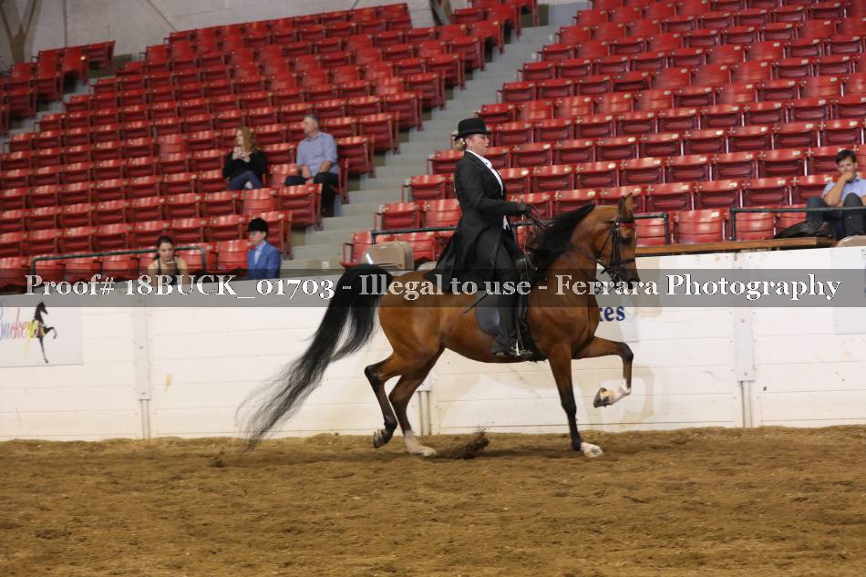 Proof 18BUCK_01703