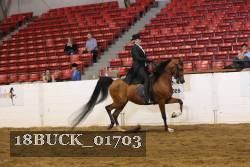 18BUCK_01703 proof